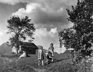 Kinderbilder. Gruppe von Kindern auf einer Wiese