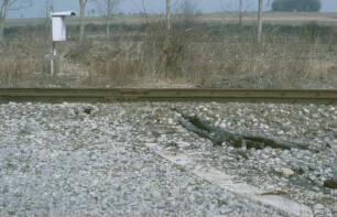 Eutingen Drehscheiben-Fundament