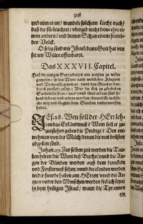 Das XXXVII. Capitel. - Das XL. Capitel.