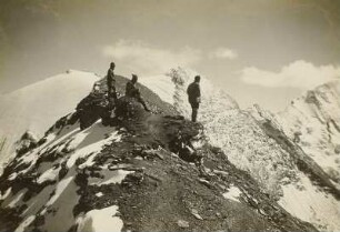 Österreich. Hohe Tauern. Glocknergruppe. Drei Bergsteiger auf dem Bauernbrachkopf. Blick zum Hohen Tenn und Großen Wiesbachhorn