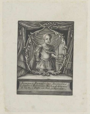 Bildnis des Joseph II. von Österreich