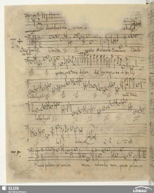 75. Anonymus: Quam pulchra es