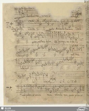 75. Anonymus: Quam pulchra es