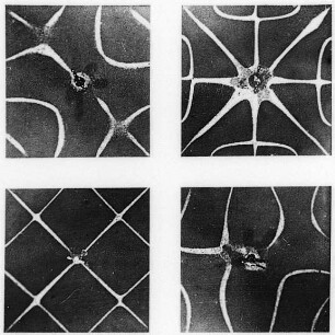 Chladnische Klangfiguren III. : Technikgeschichte | Physik | Akustik | Schallschwingungen und ihre photographische Wiedergabe