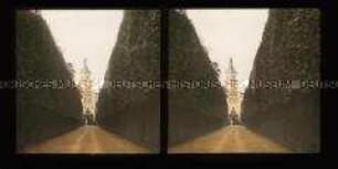 Hauptweg zum Schloss Wallsee
