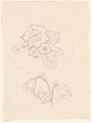 Adler, Friedrich; Blumenmuster - Ansichten