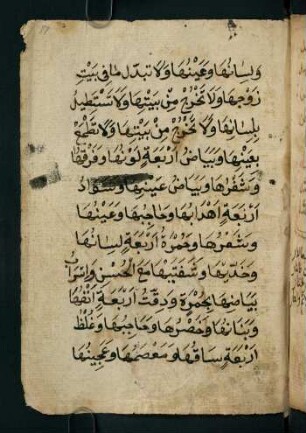 17r-45v, Kitāb al-aik fī ʿilm an-naik