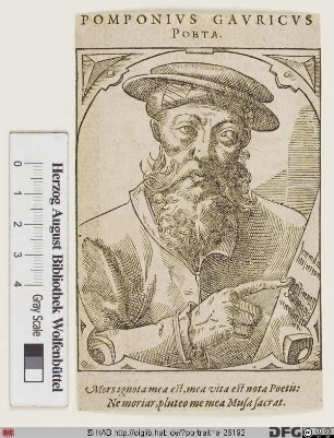 Bildnis Pomponio Gaurico