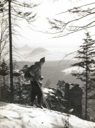 Sächsische Schweiz. Blick vom Schrammsteinmassiv zum Teufelsturm, im Hintergrund Zirkelstein und Kaiserkrone