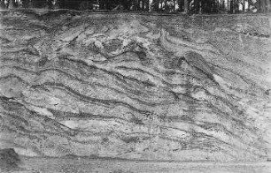 Stauendmoräne des Dubrowberg, südlich von Fürstenwalde, gestörter Tertiär : Geologie | Geologische Charakterbilder | Die Endmoränen im norddeutschen Flachlande