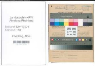 Entnazifizierung Alois Foecking , geb. 29.06.1908 (Zollangestellter)