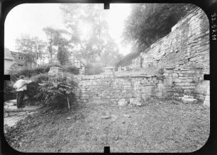 Schloßmauer : Schloßmauer