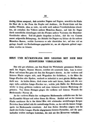 Hirn und Rückenmark des Negers mit denen des Europäers verglichen