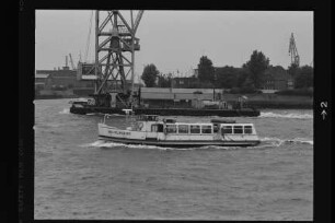 Wilhelmsburg, Hadag.- Hafen-Dampfschiffahrt AG, Hamburg