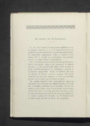 De cultuur van de Cacaoplant.