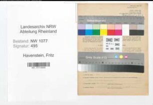 Entnazifizierung Fritz Havenstein , geb. 16.09.1898 (Polizist)