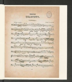 Erstes Quartett. [Violoncello.]