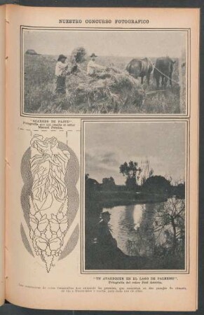 Nuestro concurso fotográfico - [Ilustración]