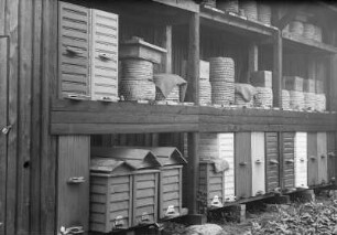 Bienen. Verschiedene Bienenbeuten