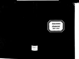 Sasbachried, Achern OG; Katholische Gemeinde: Geburtenbuch 1810-1856