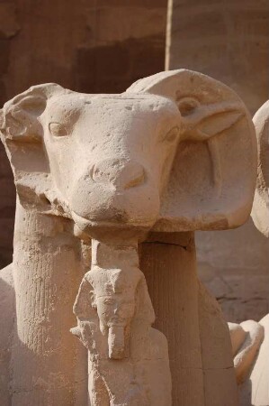 Karnak Tempel Luxor, Widder-Allee, Detail