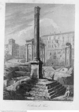 Raccolta delle principali vedute di Roma disegnate al vero ed incise da Domenico Amici Romano, Tafel (35): Colonna di Foca
