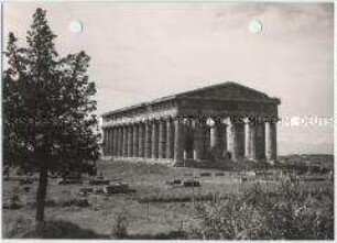 Ruinenstätte Paestum, Tempel