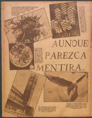 Aunque parezca mentira... [Fotografías]