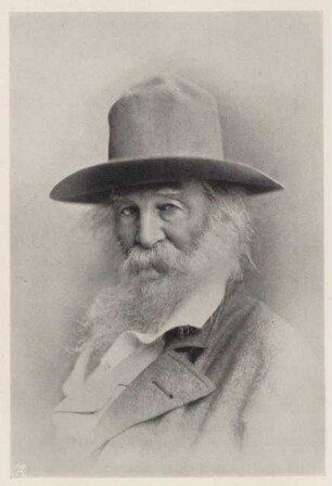 Brustporträt von Walt Whitman im Halbprofil