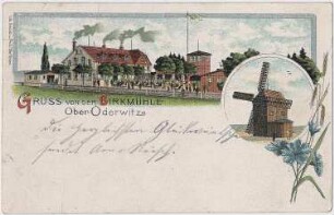 Oderwitz-Oberoderwitz. Birkmühle, kolorierte Ansichtskarte