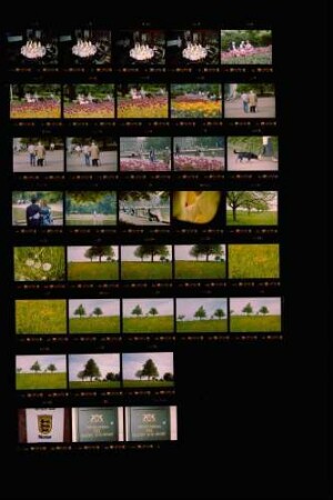 Landesschau-Bilder Tisch von Karin Hüdig Frühling