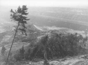 Braunkohlentagebau Hirschfelde (Kopalnia Turoszów), östlich der Lausitzer Neiße; seit 1945 Polen. Rutschung am Niederbusch. Blick von Osten auf abgerutschten Wald
