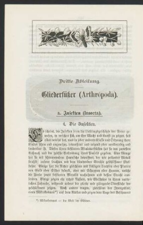 a. Insekten (Insecta).