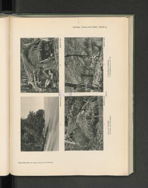 Krämer, Inseln um Truk, Tafel 14