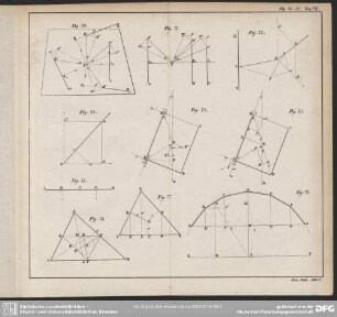 Fig: 70-79. Taf: VII.