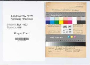Entnazifizierung Franz Borger , geb. 24.03.1902 (Landwirt)