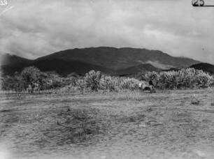 Landschaft : Blick über eine Ebene auf die bergige Landschaft