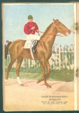 Cracks de nuestras pistas: Gringazo, ganador del clásico Hipódromo Argentino, sobre 5000 metros, en 1929 - [Fotografía]