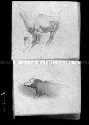 Darstellungen von zwei Rindern und einem Wolf (?)