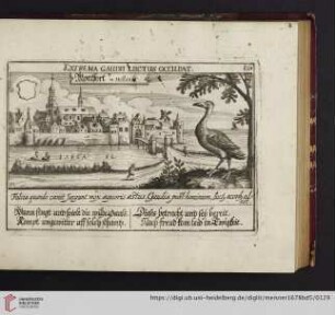 E61. Montfort in Holland, "Extrema gaudii luctus occupat"