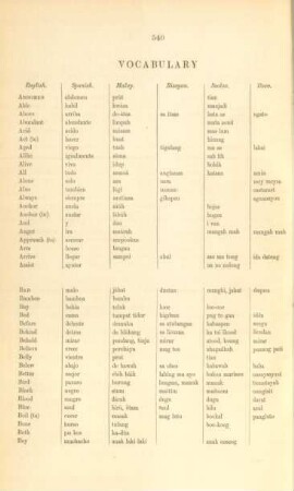 Vocabulary of languages