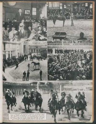 En el "Tattersall" del hipódromo argentino