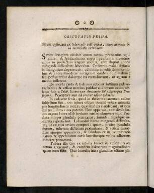 2-6, Observatio Prima.-Quarta.