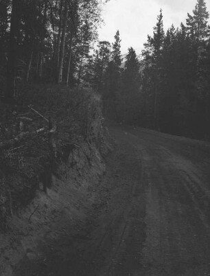 Waldstraße : Blick auf eine Waldstraße.