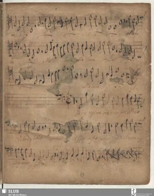 Anonymus: Salve regina