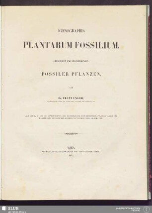 Iconographia Plantarum Fossilium : Abbildungen und Beschreibungen fossiler Pflanzen