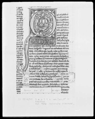Gratian — Initiale Q(uidam), Folio 156verso