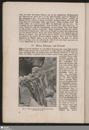 IV. Klima, Pflanzen- und Tierwelt