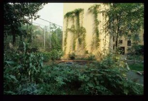 Diapositiv: Naunynstr. 52, 1986
