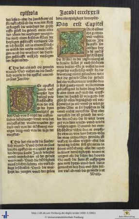 Die sunderlich vorrede in die epistel canonica sant Jacobs
